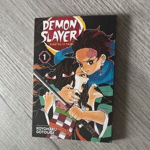 Demon Slayer Manga Volume 1
